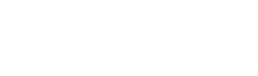 Steam