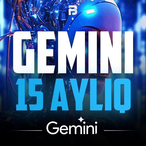 Gemini 15 AY
